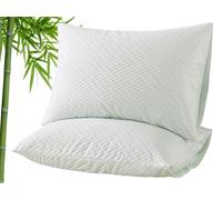 RICHAIR - Pillow Protector 60 x 60 cm Set of 2 Waterproof - Pillow Case with Envelope Closure - Breathable and Anti-Bug & Dust Mite - Bamboo Pillow Protector