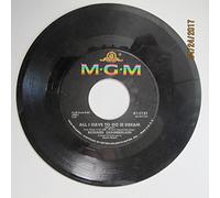 Richard Chamberlain 45 RPM All I Have To Do Is Dream / Hi-Lili, Hi-Lo