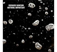 Richard Dawson - Nothing Important [VINYL]