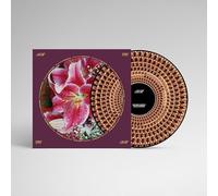 Richard Hawley - Coles Corner (Zoetrope Vinyl) [VINYL]