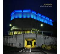 Richard Hawley In This City They Call You Love CD NEW