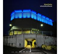 Richard Hawley - In This City They Call You Love [VINYL]
