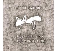 Richard Laviolette - A Little Less Like A Rock, A Little More Like Home [VINYL]