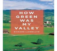 Richard Llewellyn How Green Was My Valley Paperback Book Richard Llewellyn Multicolor