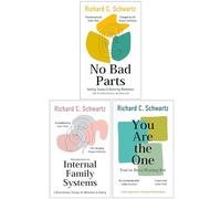Richard Schwartz Collection 3 Books Set (No Bad Parts, Introduction to Internal Family Systems & You Are the One You’ve Been Waiting For)