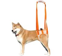 RICHDMI Dog Lift Harness, Portable Lifting Strap, Orange, Size L, Striped Pattern, for Small Dogs with Weak Rear Legs