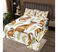 richhome Cartoon Meerkat Bedspread King Size Wild Animal Coverlet Set for Kids Boys Girls Decor Jungle Wildlife Tropical Leaves Nature Quilted Coverlet Room Decor