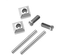 Richie strap]16mm/18mm/20mm/22mm Watch Accessories Silver Screws Tubes for Fit Cartier Pasha Strap Lug (22mm)
