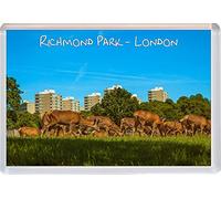 Richmond Park - London - Jumbo Fridge Magnet