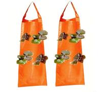 RichVibe 2 Pack Upside Down Strawberry Grow Bags, Hanging Liners Tomatoes Peppers Herbs, Weather-Resistant Fabric with Multiple Pockets, 62x25cm Garden Planting System(E)
