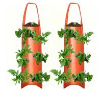 RichVibe 2 Pack Upside Down Strawberry Grow Bags, Hanging Liners Tomatoes Peppers Herbs, Weather-Resistant Fabric with Multiple Pockets, 62x25cm Garden Planting System(F)
