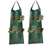 RichVibe 2 Pack Upside Down Strawberry Grow Bags, Hanging Liners Tomatoes Peppers Herbs, Weather-Resistant Fabric with Multiple Pockets, 62x25cm Garden Planting System(A)