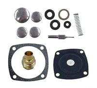 RichVibe Carburetor Rebuild Kit S200 S620 TVS600 Snow Blowers, for Replacement Part 631893A Compatible with LAV30 AH600 HS40 HSK30 TVS90 Models