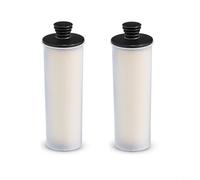 RichVibe Replacement Descaling And Cleaning Filter Rod For Karcher SC3 Steam Cleaner Supporting For SC2, For SC2 Premium, SC3 Upright, And Standard Editions(2 pcs)