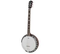 Richwood RMB-906 6 String Banjo