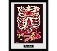 Rick And Morty - Anatomy Park Framed Print 30x40cm GB EYE