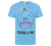 Rick And Morty Mens Meeseeks Existence Is Pain T-Shirt / N/A N/A NS4421