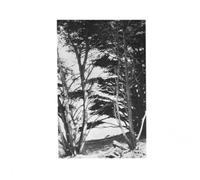 Rick Deitrick – Gentle Wilderness – Vinyl – Universal Music Group