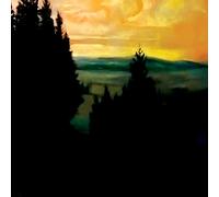 Rico Puestel - Exhibition 2: SOLLING I [VINYL]