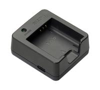 Ricoh BJ-11 Battery Charger