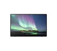 Ricoh Portable Monitor 150