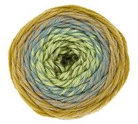 Ricorumi Spin Spin 50 g Colour 12 Olive Gradient Fine Cotton for Crocheting Amigurumi Figures from the New Ricorumi Books