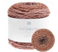Ricorumi Spin Spin 50 g Colour 15 Brown Gradient Fine Cotton for Crocheting Amigurumi Figures from the New Ricorumi Books