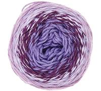Ricorumi Spin Spin 50 g Colour 8 Purple Gradient Fine Cotton for Crocheting Amigurumi Figures from the New Ricorumi Books