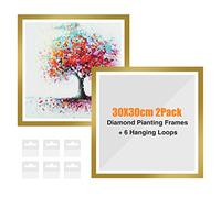 RICUVED 2Pack Diamond Painting Frames, Gold Frames for 30x30cm Canvas, Magnetic, Self-Adhesive, With Hooks, For Wall/Window/Door