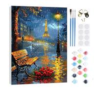 RICUVED Paint by Numbers Kits Night Sky Tower for Adults Kids,Landscapes Painting Kits for Beginners On Clear Symbols Canvas with Wooden Framed, Easy DIY Acrylic Pigment Drawing Paintwork 20x30cm