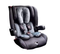 Ride and CAR Chair Reducer