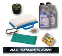 RIDE ON TRACTOR SERVICE KIT FOR SELECT BRIGGS & STRATTON INTEK V-TWIN ENGINES