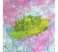 Ride the Skies by Lightning Bolt (2003-02-11)