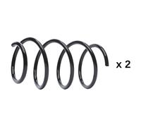 RIDEX 189S0051 Suspension kit, coil springs