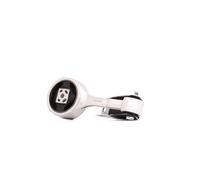 RIDEX 247E0040 Engine mount