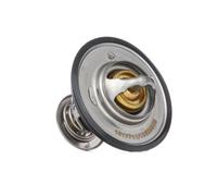 RIDEX 316T0070 Thermostat