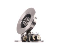 RIDEX 3405B0384 Brake discs and pads set