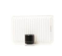 RIDEX 4055F1074 Filter kit
