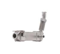 RIDEX 4198E0023 EGR Module