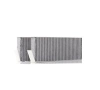 RIDEX 424I0186 Pollen filter