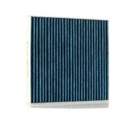 RIDEX 424I0484 Pollen filter