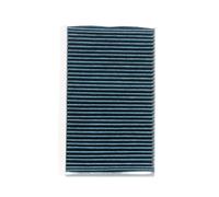 RIDEX 424I0492 Pollen filter