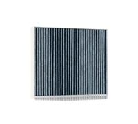 RIDEX 424I0494 Pollen filter