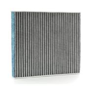 RIDEX 424I0496 Pollen filter
