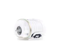 RIDEX 458F13749 Fuel pump