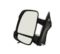 RIDEX 50O0108 Wing mirror