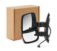 RIDEX 50O0486 Wing mirror