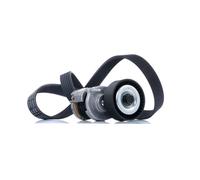 RIDEX 542R0008 V-Ribbed Belt Set