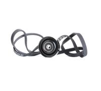 RIDEX 542R0425 V-Ribbed Belt Set