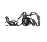 RIDEX 542R0603 V-Ribbed Belt Set